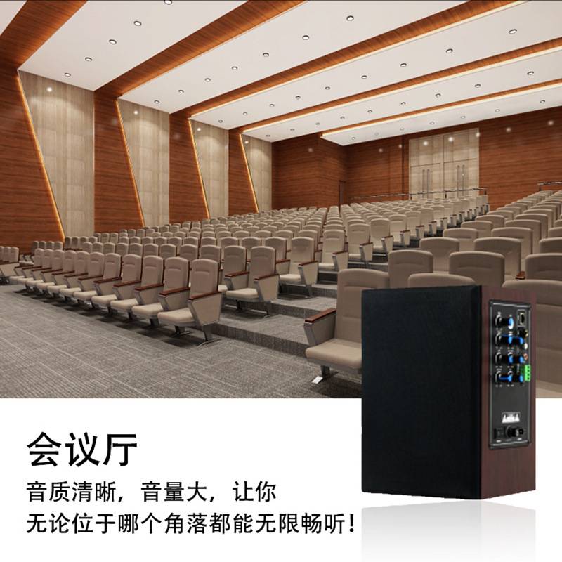 IP网络音箱扩声家庭学校会议户外演出操场扩声校园广播音响
