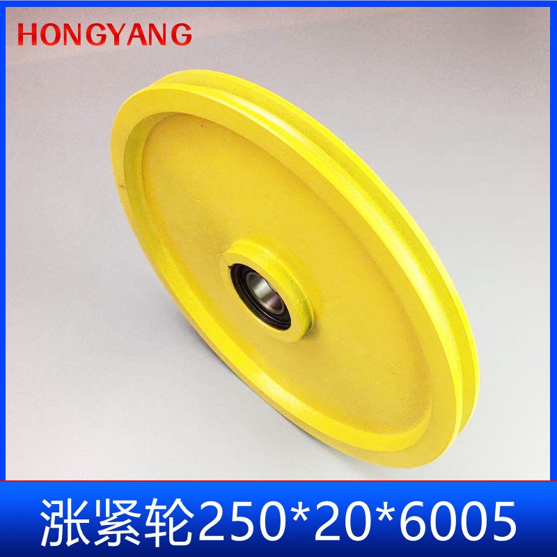 博林特 电梯涨紧轮 250X20X6005P 底坑限速器张绳轮