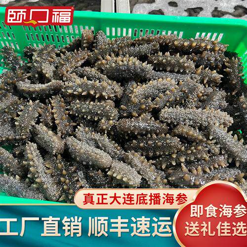 即食海参2斤正宗大连海参底播辽刺参鲜食海参营养滋补送礼礼盒