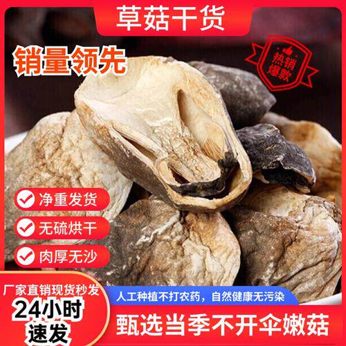 福建草菇干货500g新鲜农家蘑菇香菇兰花菇食用菌土特产无硫熏