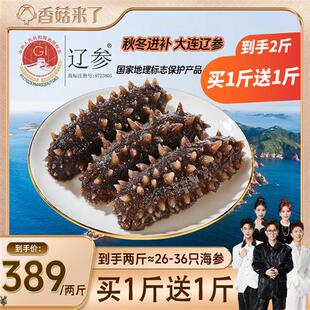 买1送1 颐参严选大连即食海参500g 开袋可吃顺丰包邮