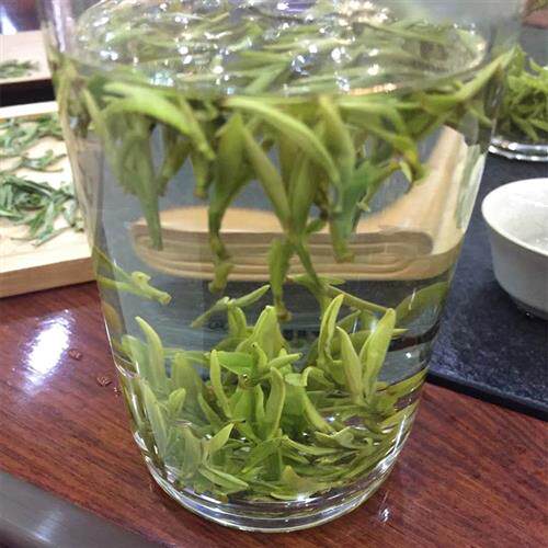 2025新茶 安徽霍山黄芽高山绿茶春茶黄茶明前茶浓香500克袋装
