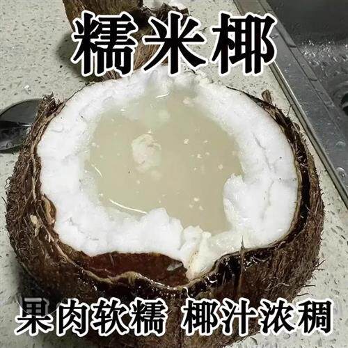 当季新鲜泰国进口糯米椰600-900g重椰子泰式甜品绵软糯叽叽水果