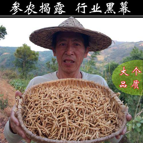 正宗精品大号柘荣太子参 天然非纯野生 无硫农家自销地道好货200g