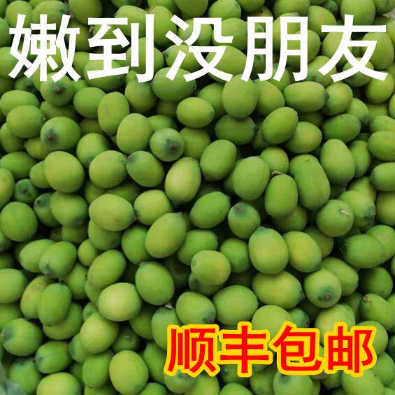 新鲜嫩莲子洪湖莲蓬米生吃莲子清甜水果零食现摘嫩莲蓬顺丰包邮