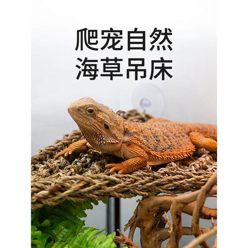 瑞皮Reptizoo爬宠吊床蜥蜴守宫变色龙造景爬宠躲避挂式攀爬秋千窝