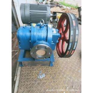 产地源罗茨泵LC h高粘度齿轮泵货铸铁电动保温沥输送泵 RYU8青m