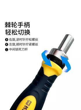 48402套棘螺丝批组套钢288048可换头轮铬钒磁性CRV件套筒头