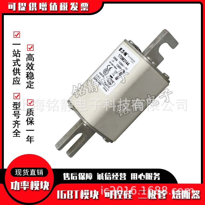 170M3138 170M3139 170M3140 170M3141 170M3142熔断器170M3143