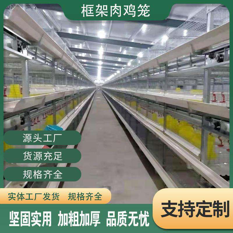 框子架式肉鸡笼家设备头NOO厂养源殖场鸡笼养殖全自动框架机械