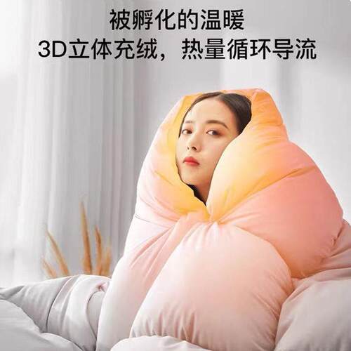 羽绒被95鹅XGF绒冬子被鸭绒被白被芯单人双人加保暖厚冬季