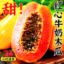 红心牛奶木瓜新鲜木瓜水果当季 树上自然熟冰糖心青皮木瓜现摘整箱