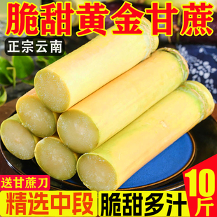 正宗黄金甘蔗黄皮脆甜新鲜水果9斤现砍甜杆甘蔗孕妇多汁 批发 包邮