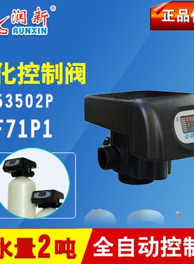润新F71P1多功能自动软化阀 水处理控制阀时间型2吨6分口 53502P