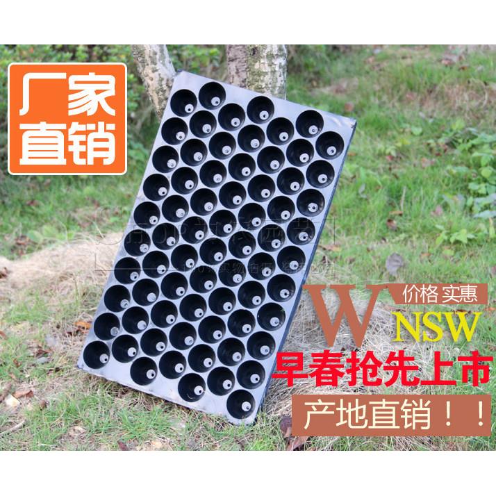 厂家直销圆孔育苗穴盘48 54 60 70 100孔果蔬花假植烟草营养盆钵