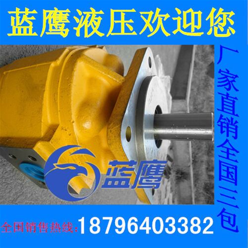 CMZ2100 CMZ2080 CMZ2063 CMZ2040 CMZ2050高压液压油泵齿轮马达