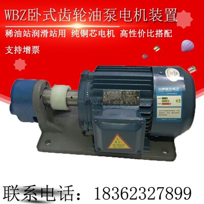 WBZ-63/40/50/125/80卧式齿轮油泵电机装置WBZ2-63/100/125/40/80