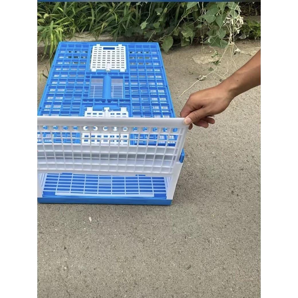 新款塑料笼鸽子放飞笼训放笼不可折叠赛鸽笼鸽子笼比赛笼训鸽笼
