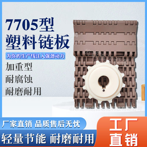 果蔬清洗流水线链板输送带