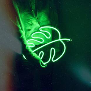 led霓虹灯绿叶灯绿色叶子造型发招牌霓装饰灯跨境商光家跨虹境爆