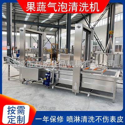 自动小龙虾豌清洗机机大枣气泡清洗设备网带式豆全清洗RZC机厂家