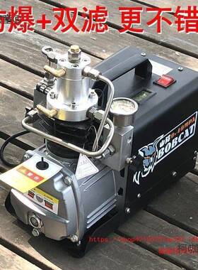 气山猫电动高压压打气机30m缸pa高充泵43140mpa小型单水冷打气麦