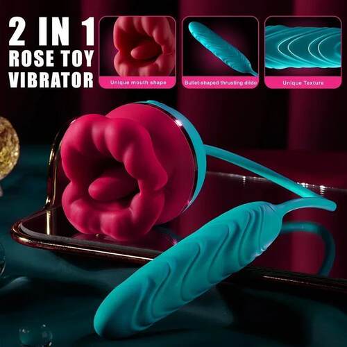 2 In 1 Vibrator For Women Clitoris Stimulator Insert