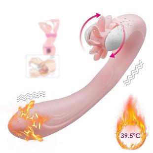 Dual Vibration Clitoris Vibrator Sex Toys Vibrant for Women