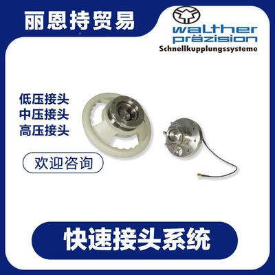AZGHP-016-20WB06-12-1快速接选-头WALTHER瓦尔特
