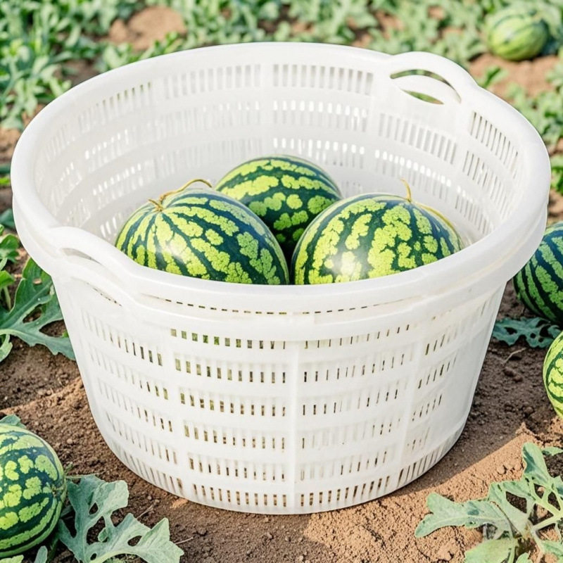 3只装白色镂空装西瓜筐周转圆形胶水果蔬菜塑料框子大号
