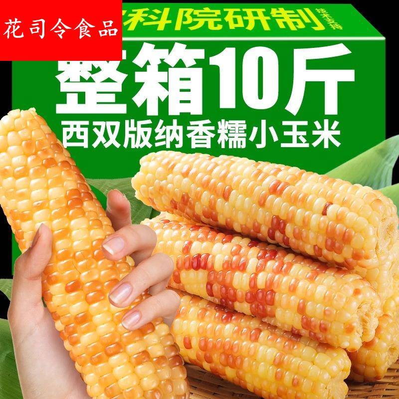 5斤云南西双版纳香糯小玉米真空包装花糯玉米学生上班代餐玉米棒