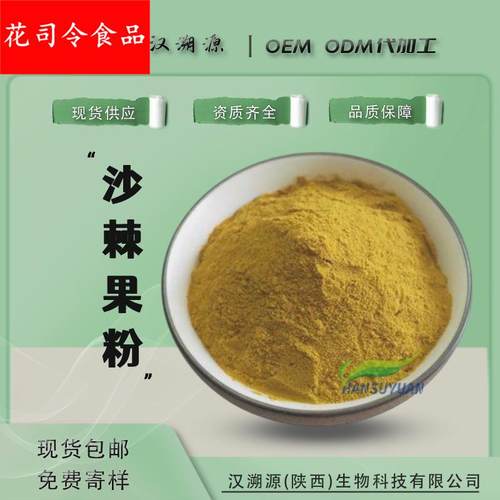 沙棘果粉沙棘汁粉固体饮料速溶工厂现货质量保证