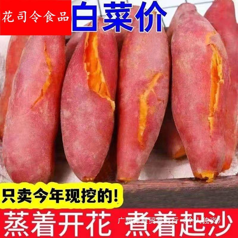 新鲜蜜薯9斤板栗红薯沙地糖心地瓜农家自种番薯现挖黄心香薯山芋