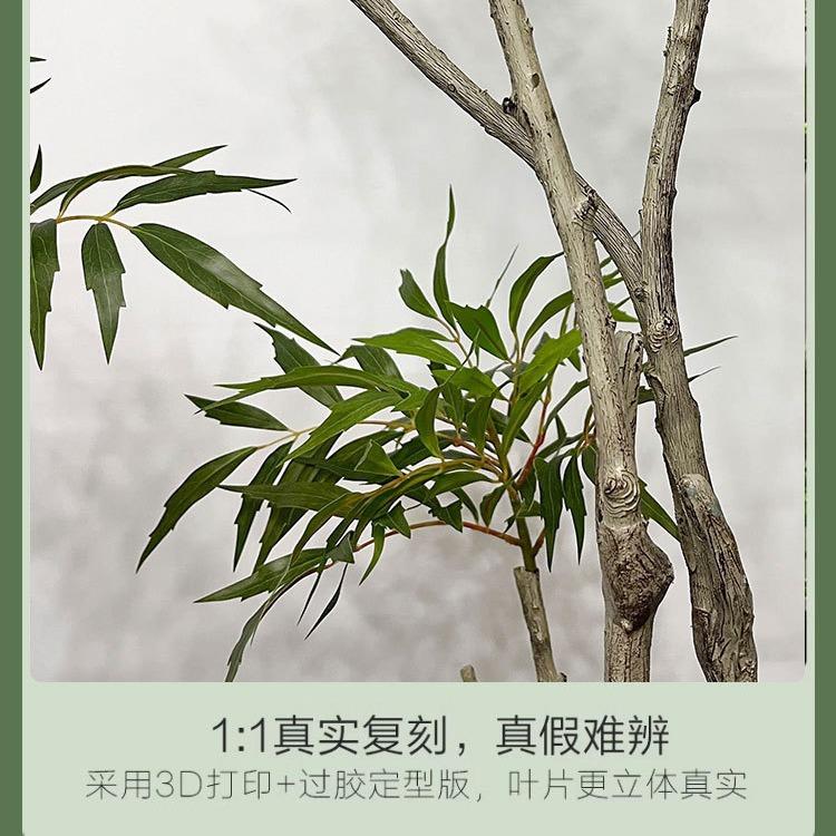 仿黄天十LNS竺大功劳绿植异形盆真栽假植物家橱居客厅商场窗装饰