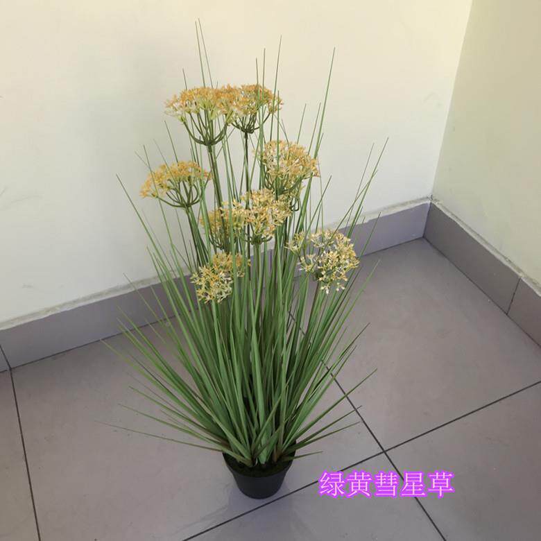 仿草彗星盆栽干花假谷花五杂粮道具绢ZMF花水真生装饰简约时尚绿