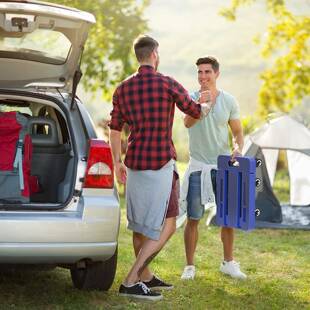 静直供手拉车音便小推车拉货万向轮折叠拉杆刹车平板黑色带车手推