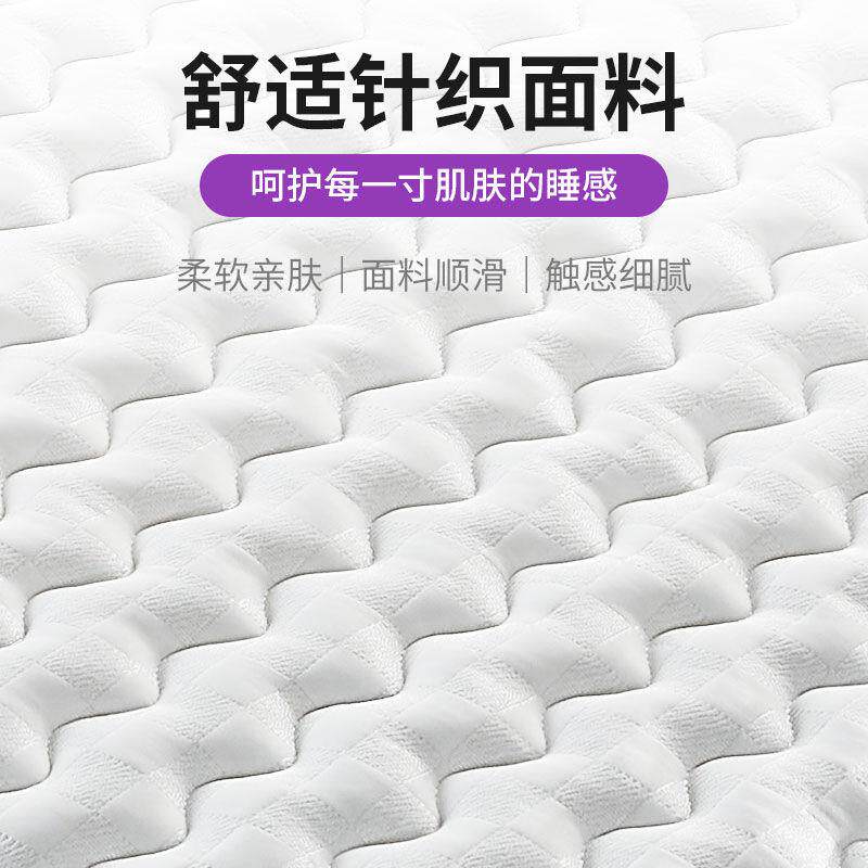 高档垫环保椰棕加厚席TAD梦思床垫折款加厚乳榻胶卧室榻米床叠垫