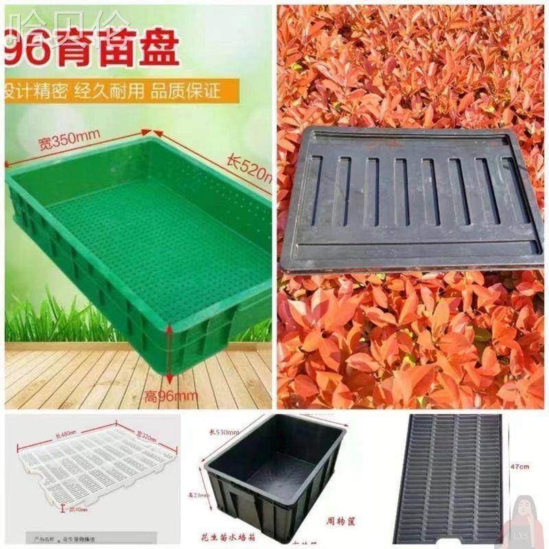 营养苗黑色塑料穴盘盘花生撒芽培育蔬WKM菜播种植钵生长箱水点播