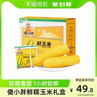 傻小胖甜糯玉米真空即食新鲜内蒙东北玉米棒礼盒苞米粗粮早餐代餐