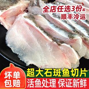 石斑鱼片新鲜潮汕海鲜水产冷冻海鱼头火锅食材黑鱼片超大龙胆鱼肉
