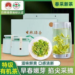 日照绿茶2025新茶春茶特级礼盒装山东特产送礼云雾浓香官方经营店