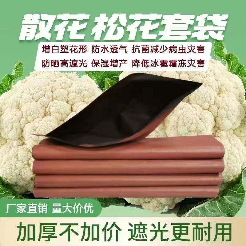 花套袋散松菜花防ICG虫袋有机花保护套防防晒防霜冻增白菜花套水