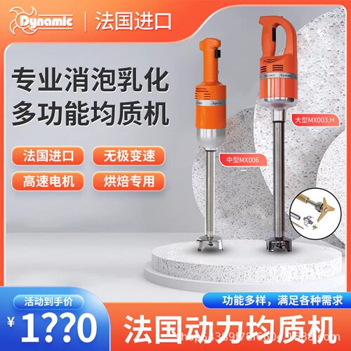 法国进口DYNAMIC大型手持搅拌机酒店餐厅浓汤均质机DMX300 410