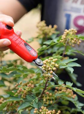 中村剪一郎电动修稀果双刃剪疏花疏果专用66365剪子花剪家用摘果