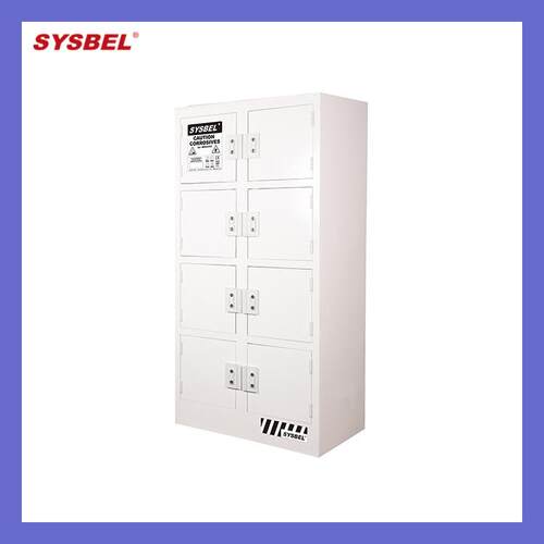 S0ybelACP81004西斯贝尔4Gal八门腐蚀强性化学s品储存柜ACP810040