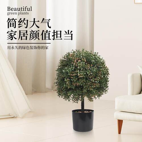 绿植球盆栽装饰橄榄树盆景室内外门廊真院圆子黄仿PZ-1-108杨木
