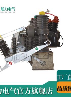 户外高压10kv真空断路器ZW2-512M/1203磁断路器004P永T看门狗零序