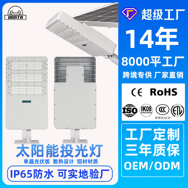 LED户外市政工程投光灯头