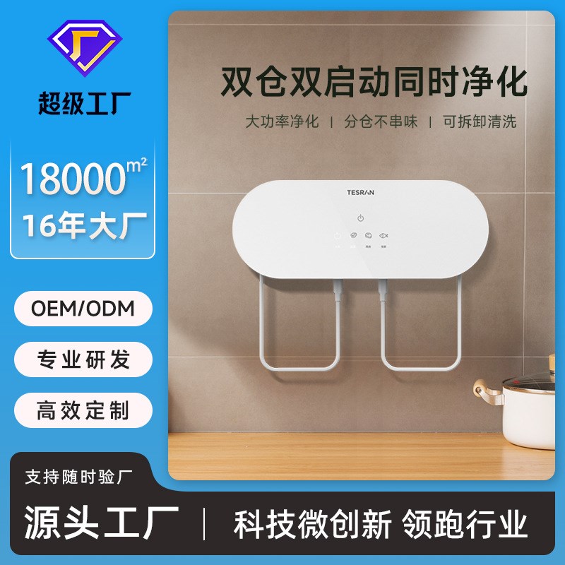 定制果蔬清洗机家用净化器羟基电解双仓双启动净化洗菜果蔬机厂家