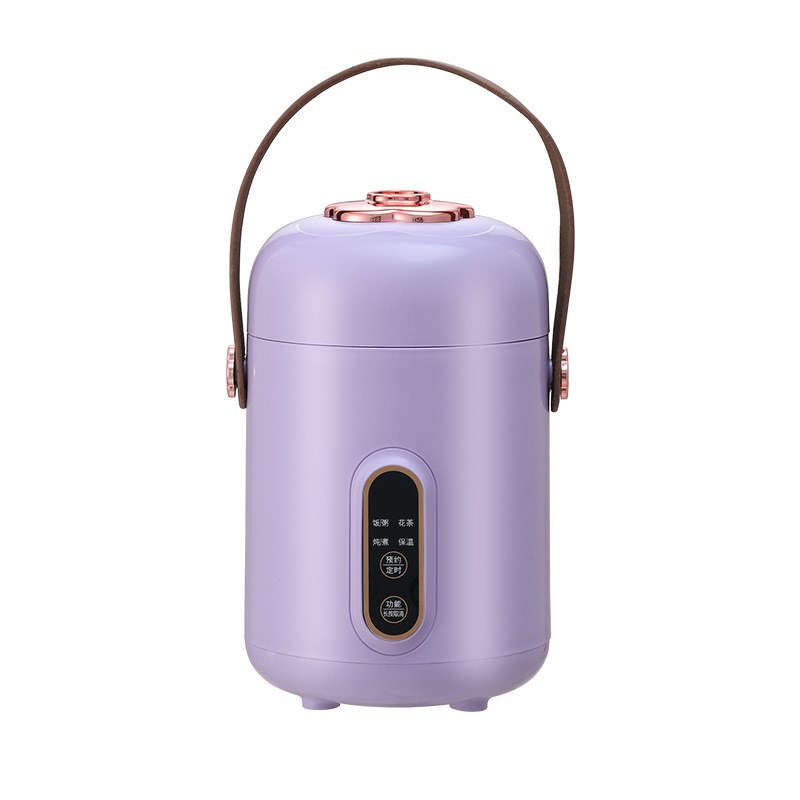 便携迷你电炖锅家用炖煮锅办公养生电炖盅宿舍手提电锅
